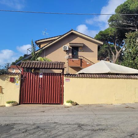 Villa Rimini - Seaview & Roman Holidays Apartments - Garden&Beach 300Mt 安齐奥 外观 照片