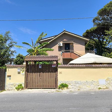 Villa Rimini - Seaview & Roman Holidays Apartments - Garden&Beach 300Mt 安齐奥 外观 照片