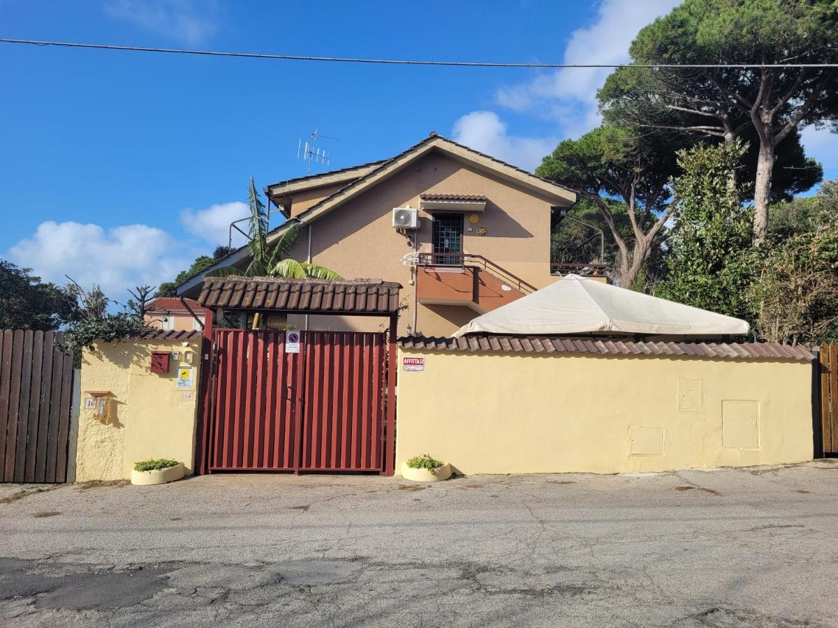 Villa Rimini - Seaview & Roman Holidays Apartments - Garden&Beach 300Mt 安齐奥 外观 照片