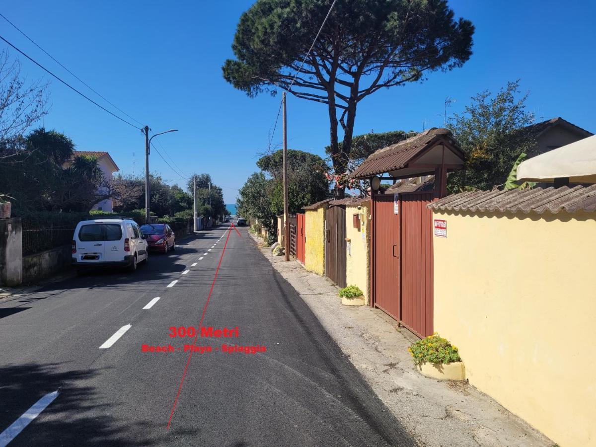 Villa Rimini - Seaview & Roman Holidays Apartments - Garden&Beach 300Mt 安齐奥 外观 照片