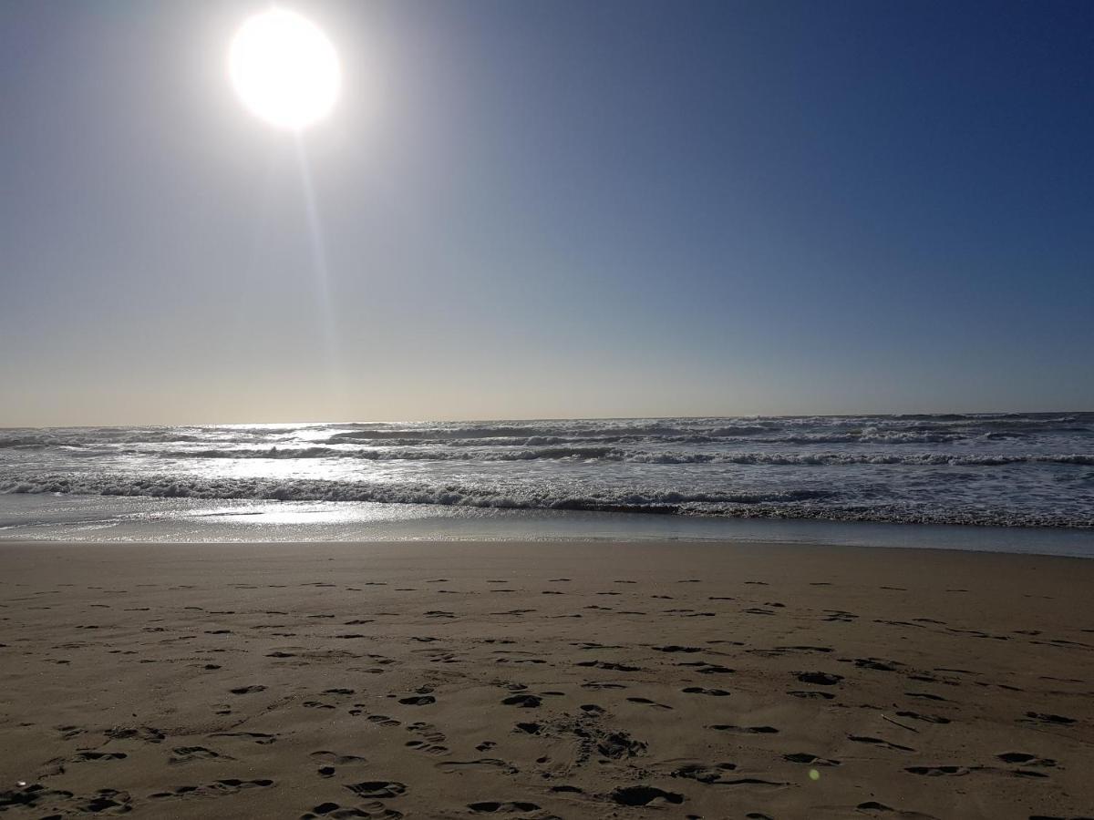 Villa Rimini - Seaview & Roman Holidays Apartments - Garden&Beach 300Mt 安齐奥 外观 照片