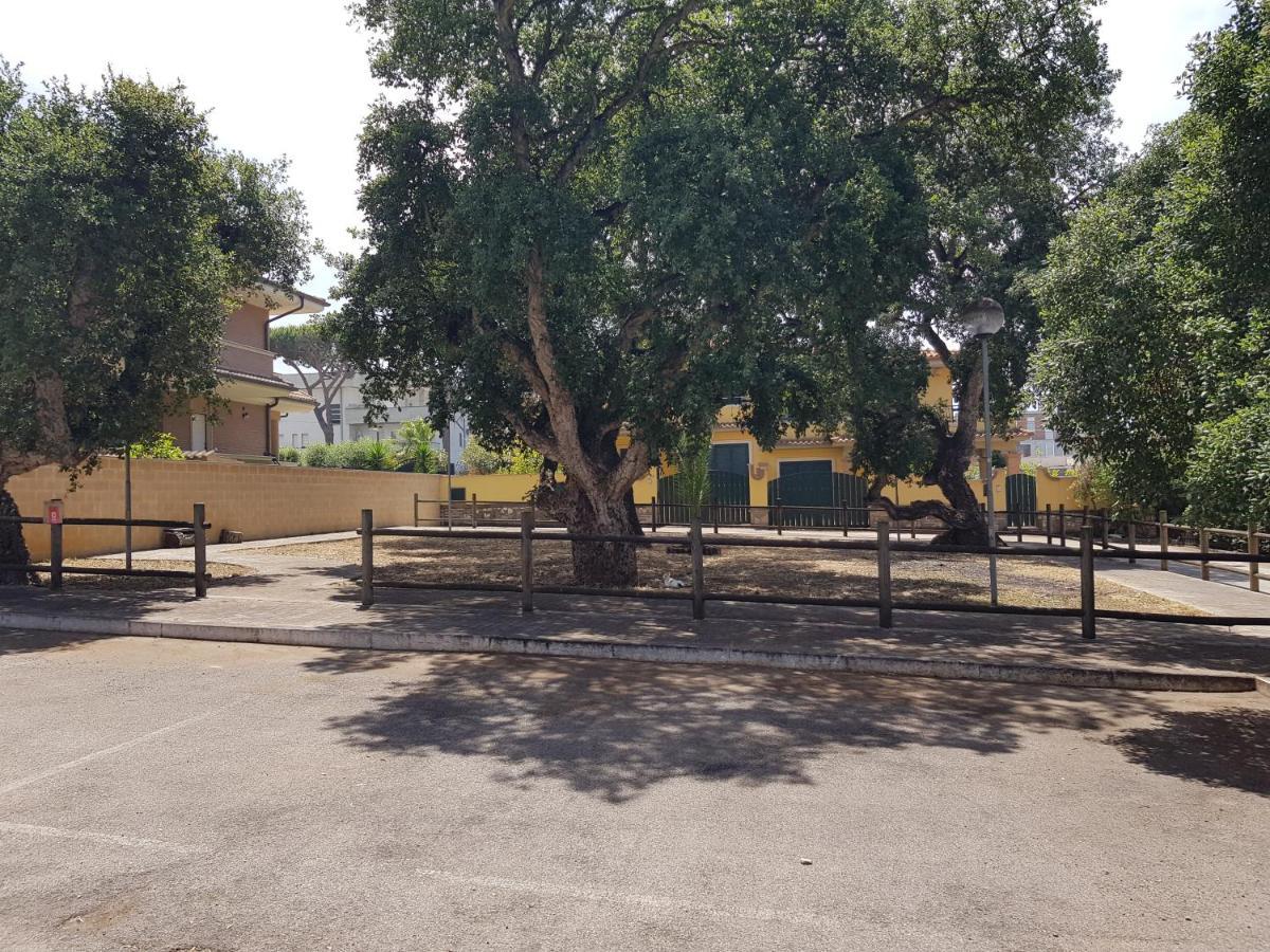 Villa Rimini - Seaview & Roman Holidays Apartments - Garden&Beach 300Mt 安齐奥 外观 照片